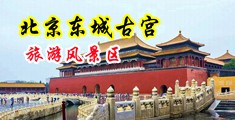 欧美与非洲上床中国北京-东城古宫旅游风景区